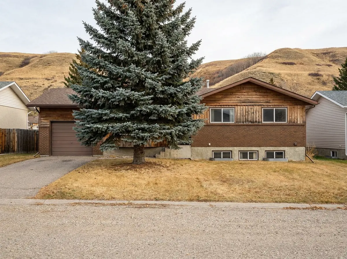 A 1980s brick-front bungalow in an older Cochrane neighbourhood with a big blue spruce, a road without curbs, and grassy hills rising behind the rooftops.